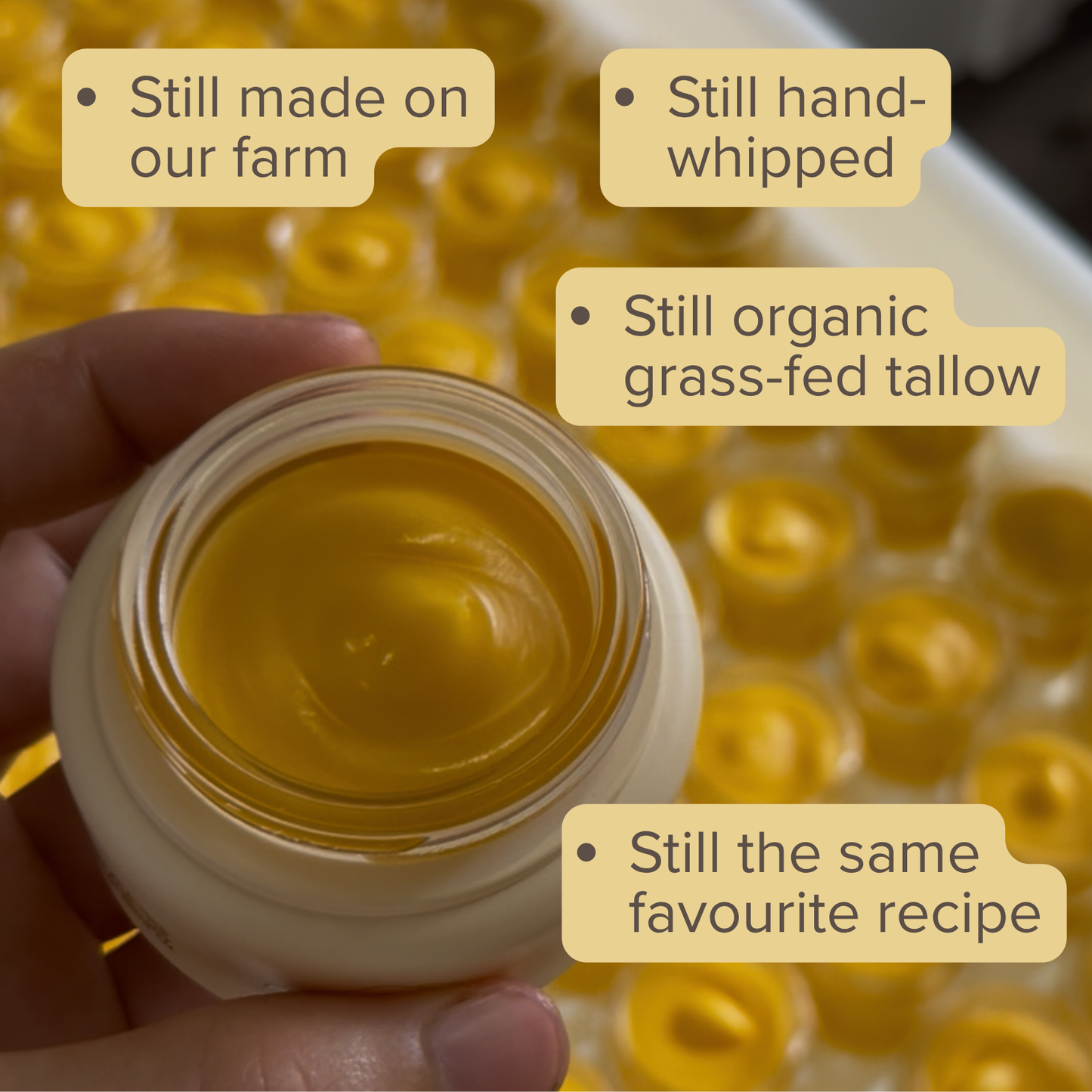 Tallow Balm - Honey Myrtle smooth & hydrate